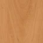 Candlelight Candlelight